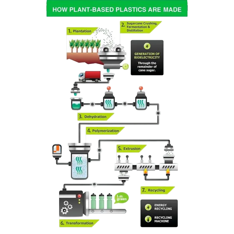 Infografik zur Herstellung pflanzenbasierter Kunststoffe aus Zuckerrohr – von der Plantage über Fermentation, Dehydration, Polymerisation und Extrusion bis zur Verarbeitung und zum Recycling.